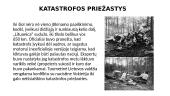 Dariaus ir Girėno skrydis 6 puslapis