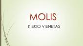 Molis. Avogadro skaičius 3 puslapis