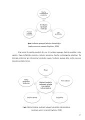 Laisvalaikio praleidimo būdų analizė Druskininkų kurorte  15 puslapis