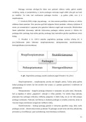 Laisvalaikio praleidimo būdų analizė Druskininkų kurorte  19 puslapis