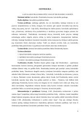 Laisvalaikio praleidimo būdų analizė Druskininkų kurorte  2 puslapis