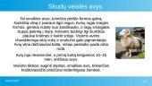 Avys ir jų veislės 11 puslapis