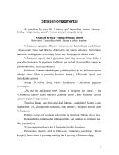 Situacijos analizė 2 puslapis