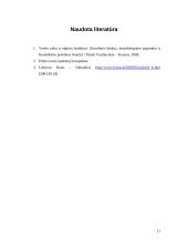 Situacijos analizė 11 puslapis