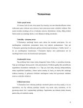 Situacijos analizė 8 puslapis