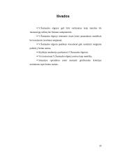 Situacijos analizė 10 puslapis