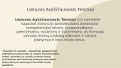 LR Teismai ir jų veikla 11 puslapis