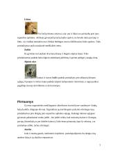 Skirtingas morfologinis gyvų būtybių prisitaikymas prie supančios aplinkos 5 puslapis