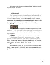 Skirtingas morfologinis gyvų būtybių prisitaikymas prie supančios aplinkos 8 puslapis