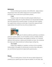 Skirtingas morfologinis gyvų būtybių prisitaikymas prie supančios aplinkos 9 puslapis