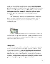 Skirtingas morfologinis gyvų būtybių prisitaikymas prie supančios aplinkos 10 puslapis