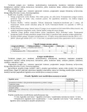 Projekto projektavimo sąmata 4 puslapis