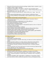 Vidutinis kalbos neišsivystimas 2 puslapis