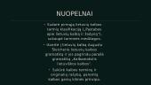 Antanas Baranauskas (1835 – 1902) 15 puslapis