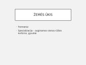 JAV ūkis 11 puslapis