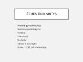 JAV ūkis 12 puslapis