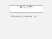 JAV ūkis 13 puslapis