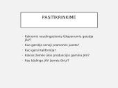 JAV ūkis 14 puslapis