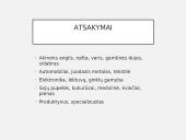 JAV ūkis 15 puslapis