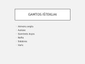 JAV ūkis 2 puslapis