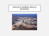 JAV ūkis 4 puslapis