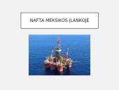 JAV ūkis 5 puslapis