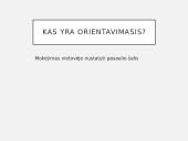 Orientavimasis plane, žemėlapyje, aplinkoje. GPS. GIS 3 puslapis