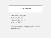 Orientavimasis plane, žemėlapyje, aplinkoje. GPS. GIS 4 puslapis