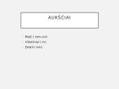 Orientavimasis plane, žemėlapyje, aplinkoje. GPS. GIS 5 puslapis