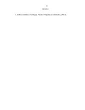 Skurdas. Socialinė atskirtis. Globalizacija 13 puslapis