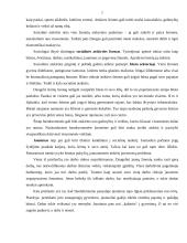 Skurdas. Socialinė atskirtis. Globalizacija 7 puslapis