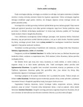 Skurdas. Socialinė atskirtis. Globalizacija 10 puslapis