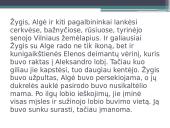 Gina Viliūnė „Vilniaus Madona“ knygos pristatymas 9 puslapis
