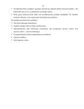 Socialinė vadyba 11 puslapis