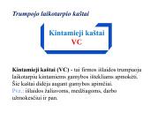 Firmos gamybos išlaidos. Kaštai 11 puslapis