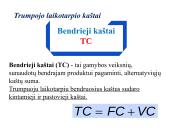 Firmos gamybos išlaidos. Kaštai 12 puslapis