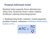 Firmos gamybos išlaidos. Kaštai 13 puslapis