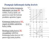 Firmos gamybos išlaidos. Kaštai 16 puslapis