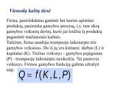 Firmos gamybos išlaidos. Kaštai 19 puslapis