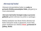 Firmos gamybos išlaidos. Kaštai 2 puslapis