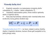 Firmos gamybos išlaidos. Kaštai 20 puslapis