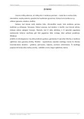 Kompleksinis medienos ir jos atliekų panaudojimas 2 puslapis