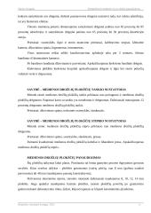 Kompleksinis medienos ir jos atliekų panaudojimas 8 puslapis