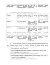 Socialinio darbo situacijų sprendimas 5 puslapis