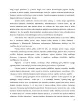 Statinio statybos rūšys: naujo statinio statyba 13 puslapis