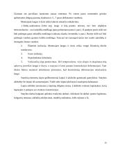 Statinio statybos rūšys: naujo statinio statyba 14 puslapis