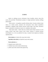 Statinio statybos rūšys: naujo statinio statyba 2 puslapis