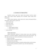 Statinio statybos rūšys: naujo statinio statyba 3 puslapis