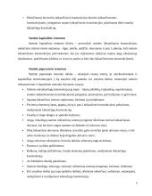 Statinio statybos rūšys: naujo statinio statyba 4 puslapis