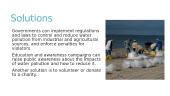 Presentation: water pollution 5 puslapis